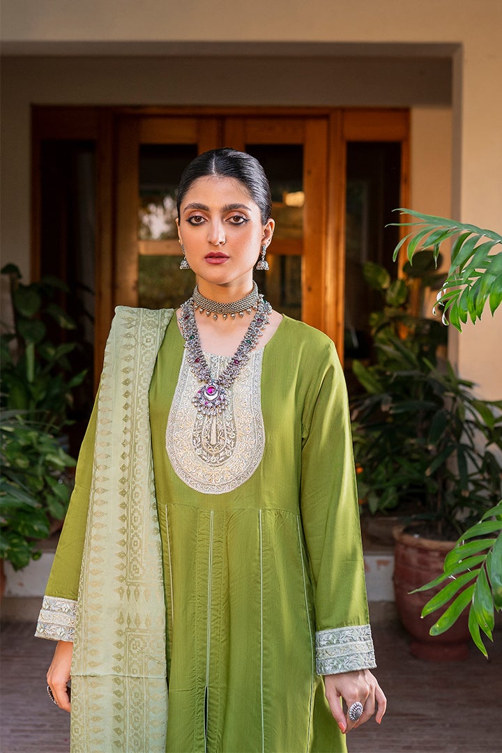 Green Embroidery Viscose Suit Set - DWEEP SARA