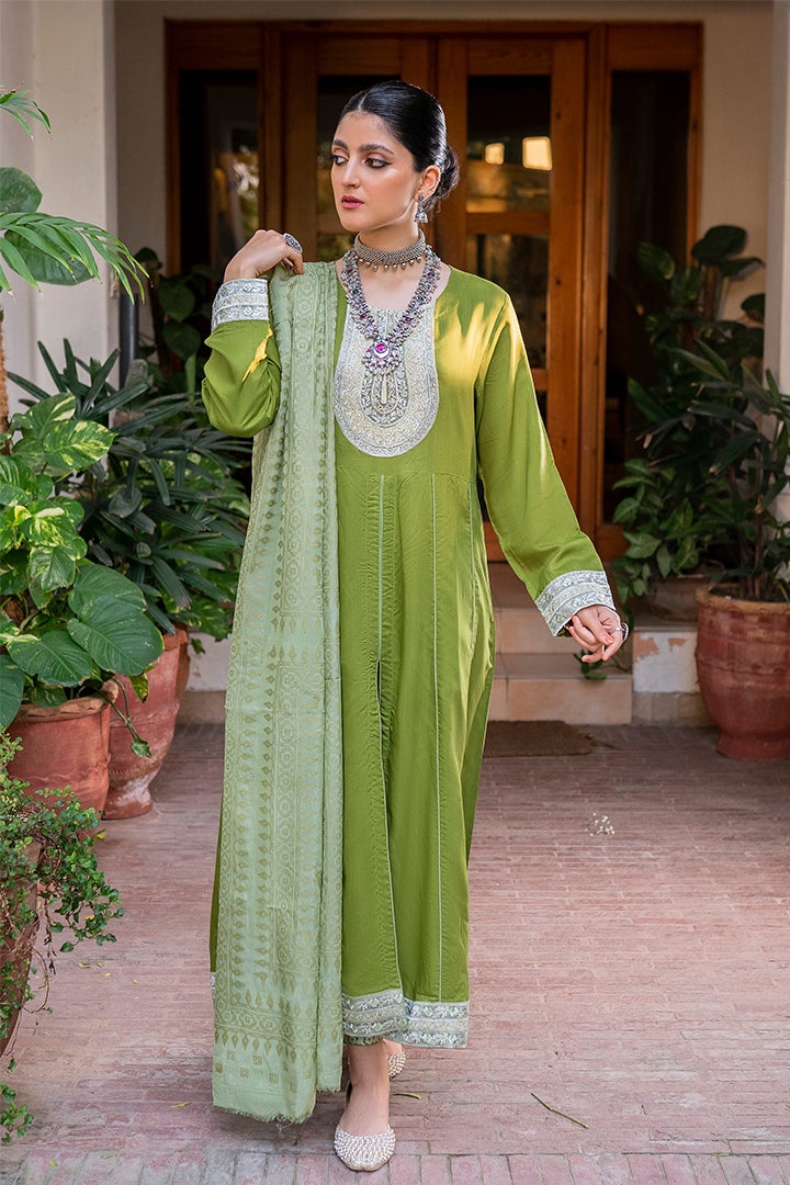 Green Embroidery Viscose Suit Set - DWEEP SARA