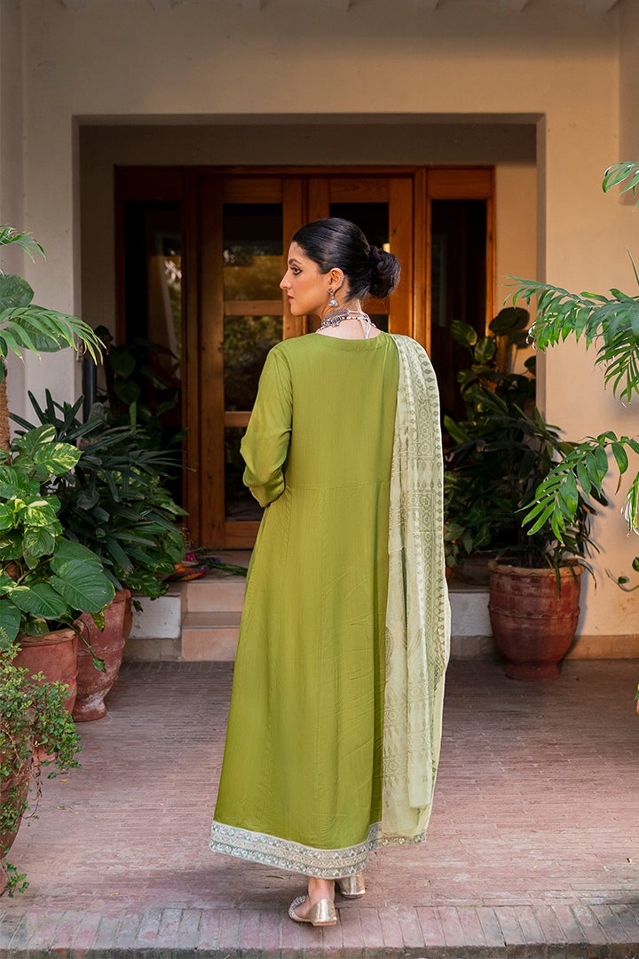 Green Embroidery Viscose Suit Set - DWEEP SARA