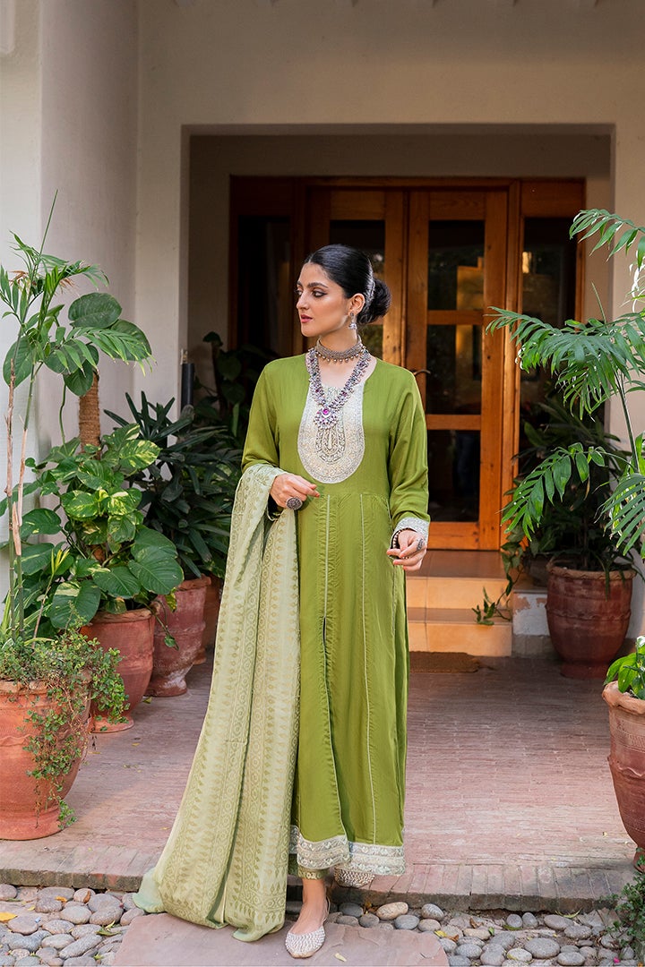 Green Embroidery Viscose Suit Set - DWEEP SARA